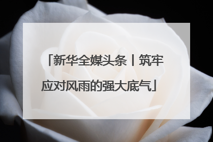 新华全媒头条丨筑牢应对风雨的强大底气